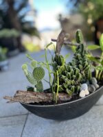 「トリトラ」フラワーアレンジメント教室”寄せ植え”