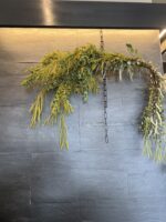 フラワーアレンジメント教室「ミモザ」