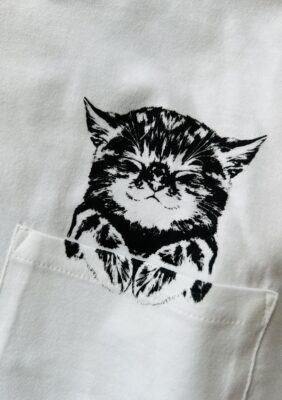 「トリトラ」薄い＝涼しい　は間違い！？